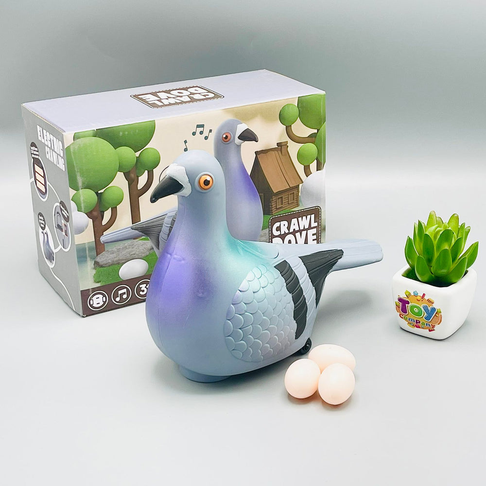 Egg Laying Crawling Pigeon