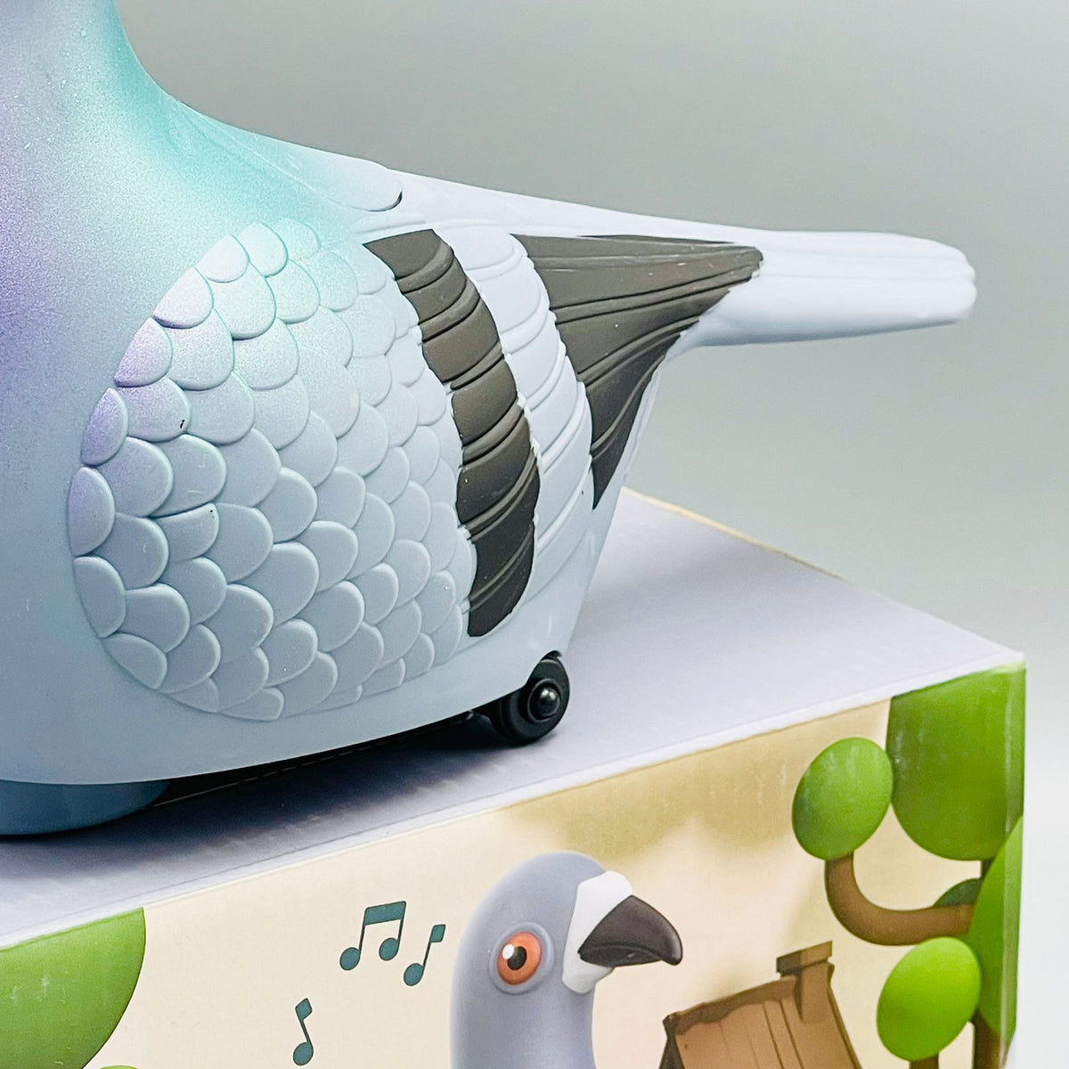 Egg Laying Crawling Pigeon