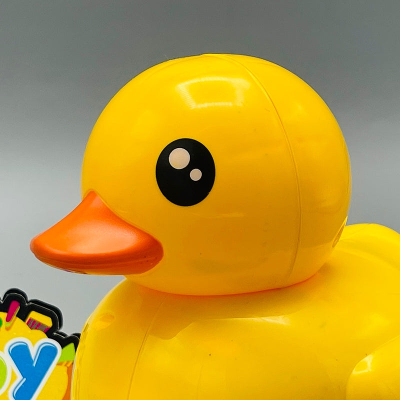 Duck will Lay Eggs