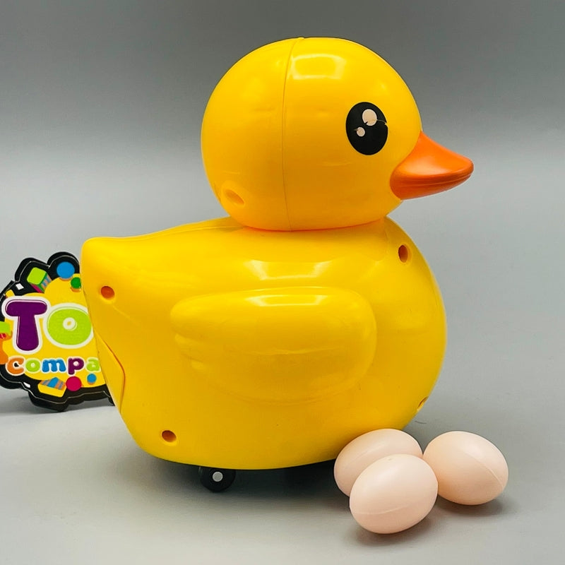 Duck will Lay Eggs