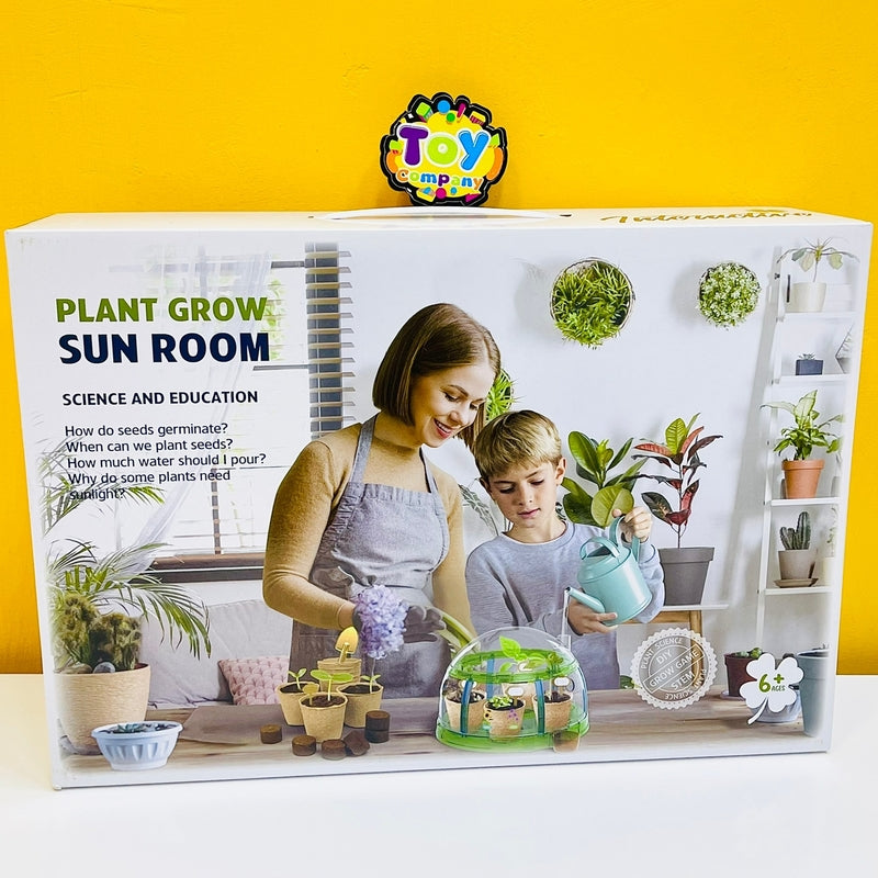 Plant Grow Sun Room Toy For Kids