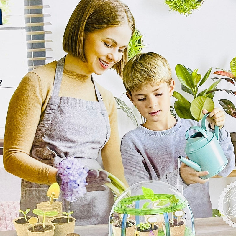 Plant Grow Sun Room Toy For Kids