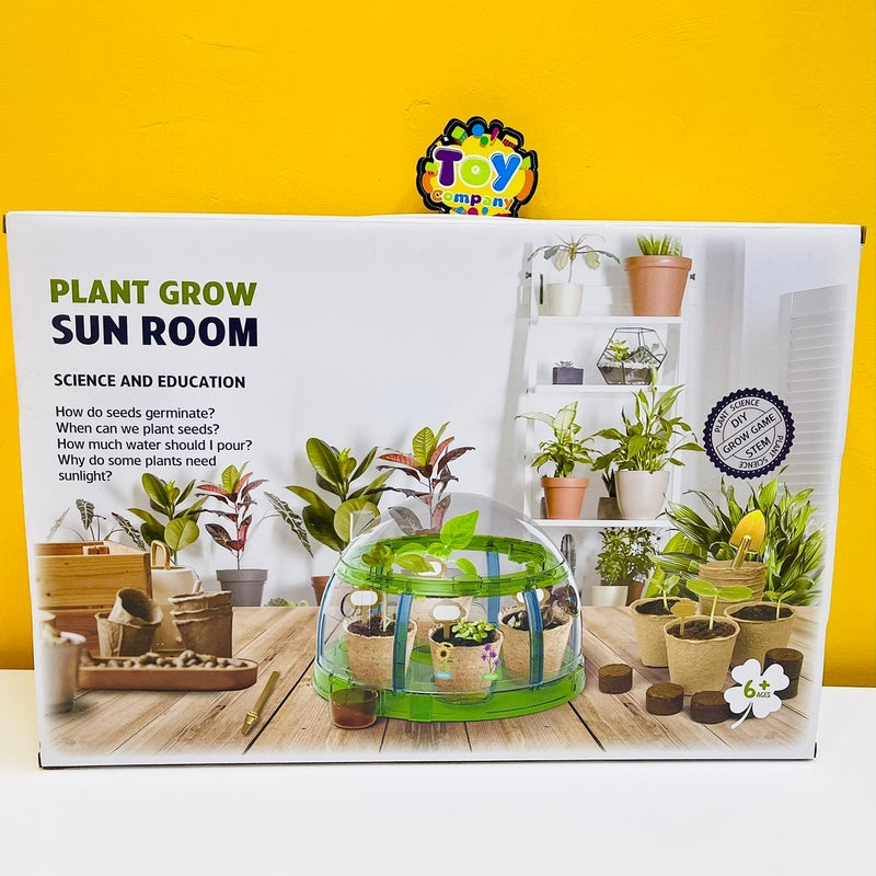 Plant Grow Sun Room Toy For Kids