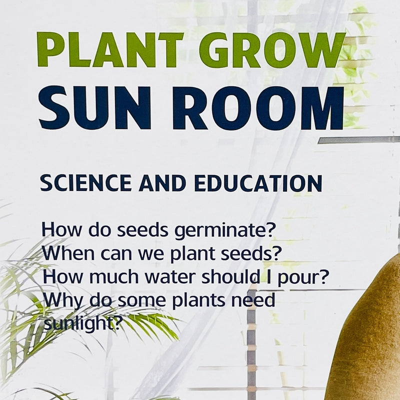 Plant Grow Sun Room Toy For Kids