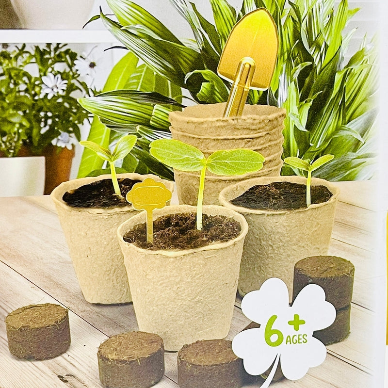 Plant Grow Sun Room Toy For Kids