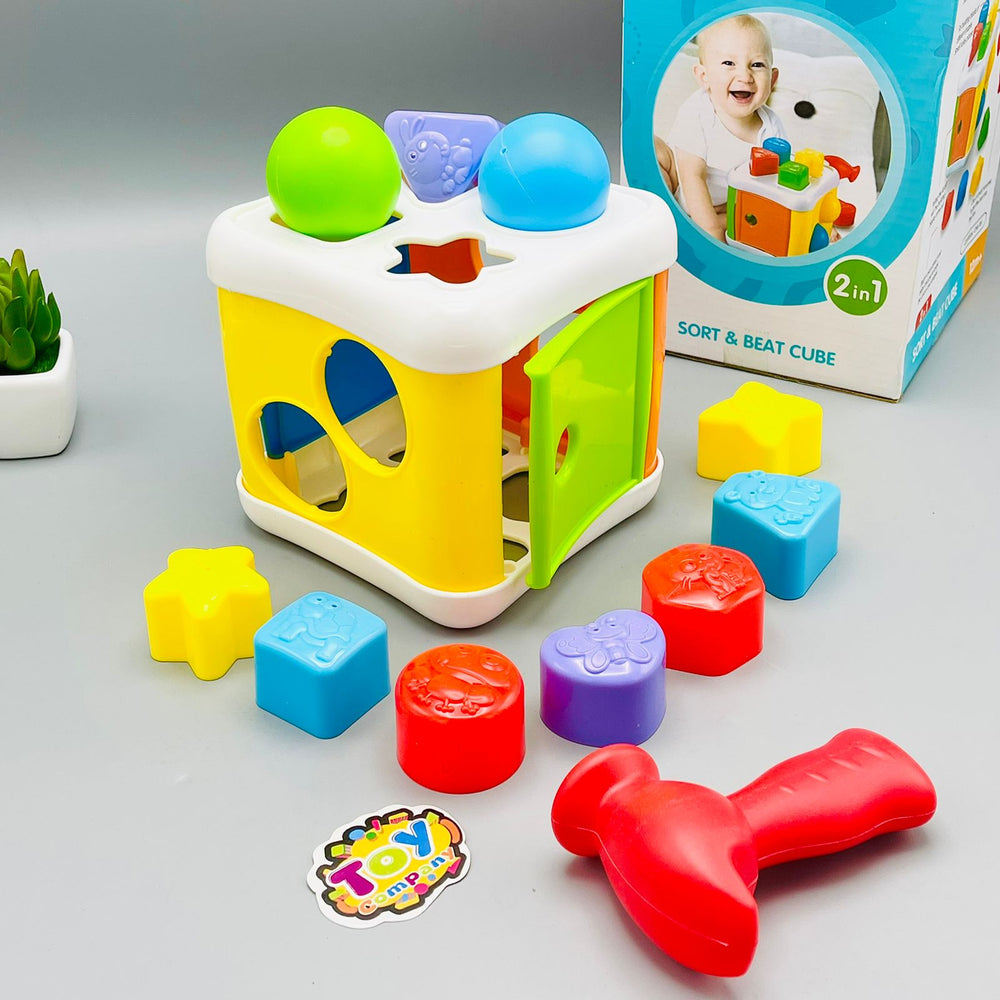 2-in-1 Sort & Beat Cube