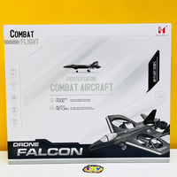 Remote Control Fighter Combat Aircraft