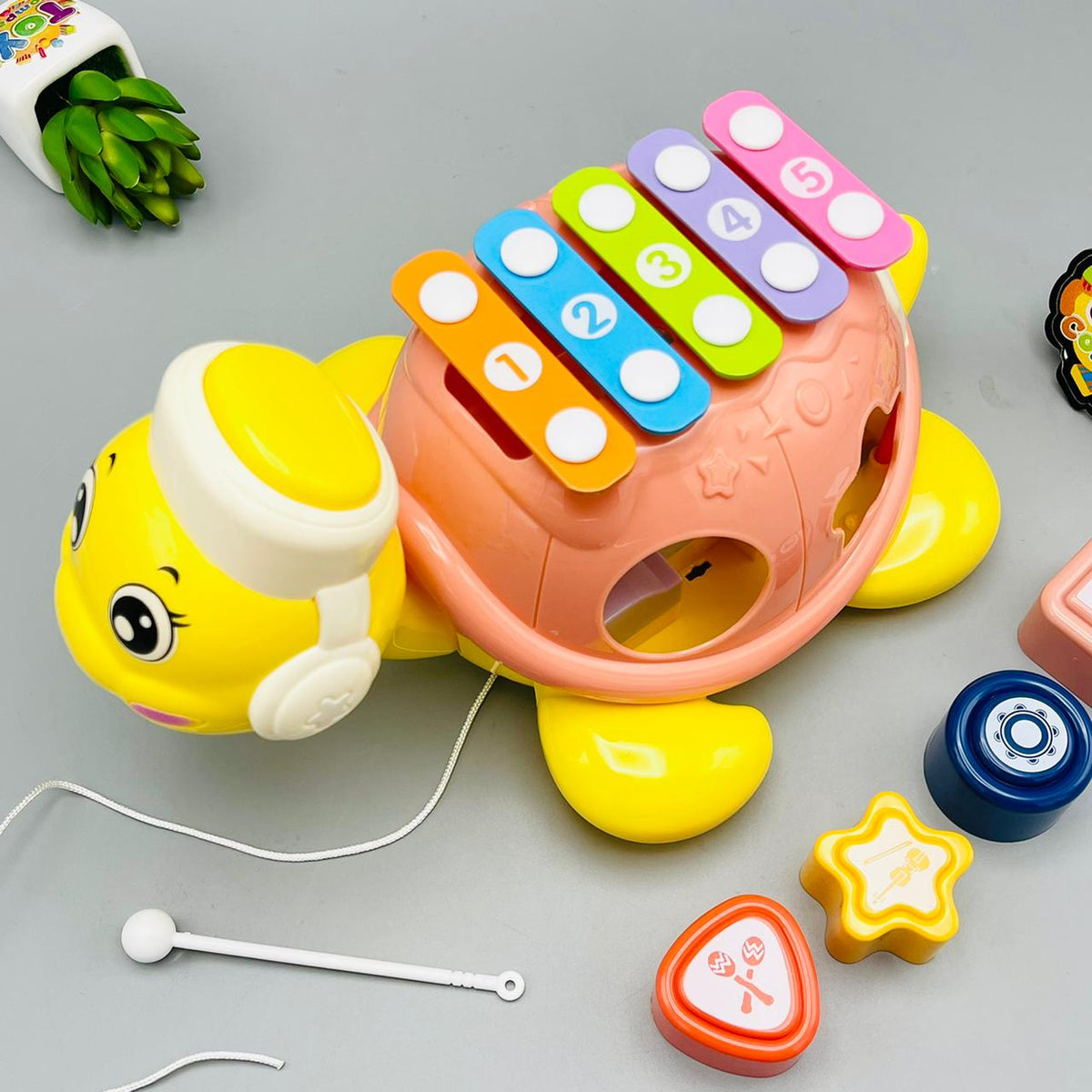 Tortoise Educational Musical Xylophone