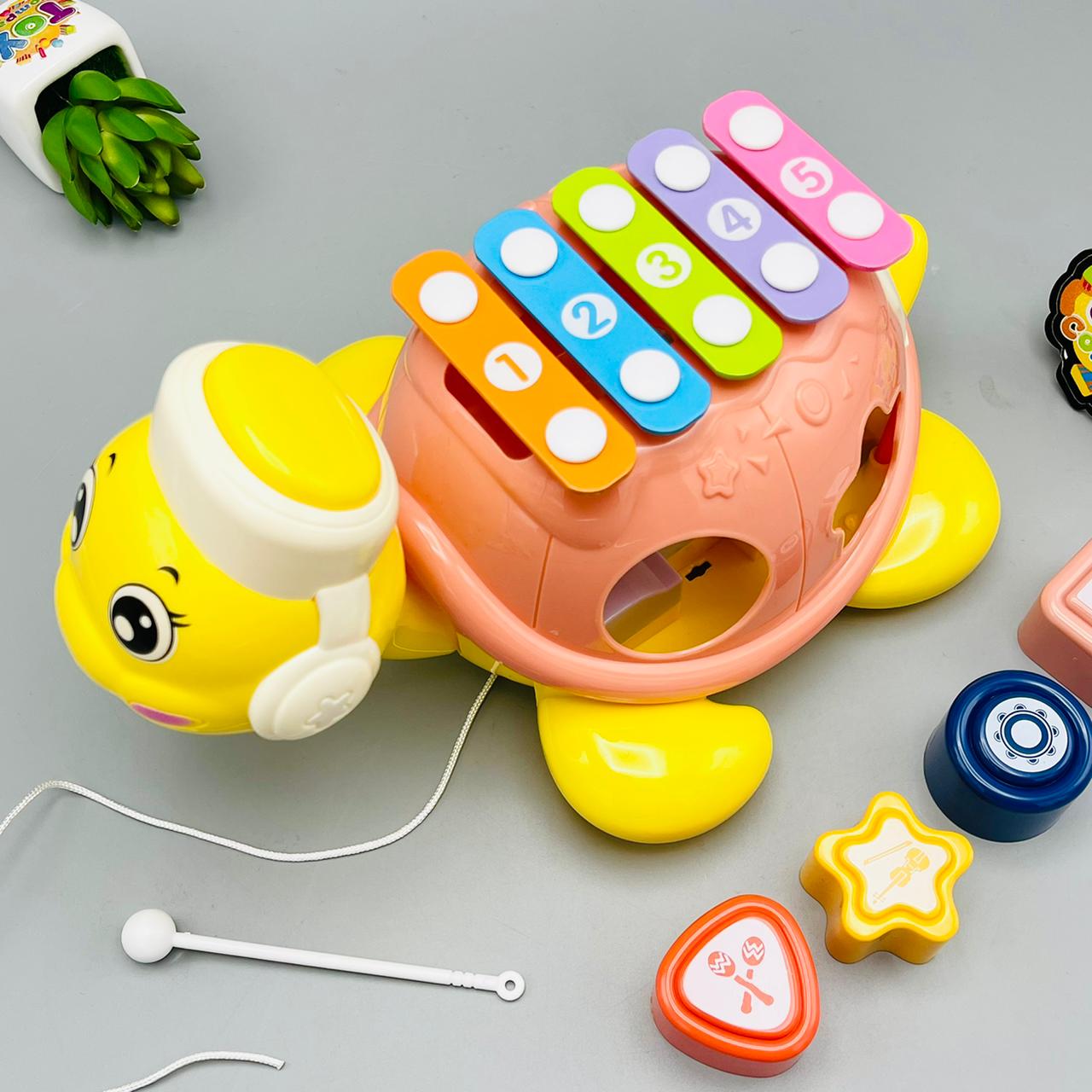 Tortoise Educational Musical Xylophone