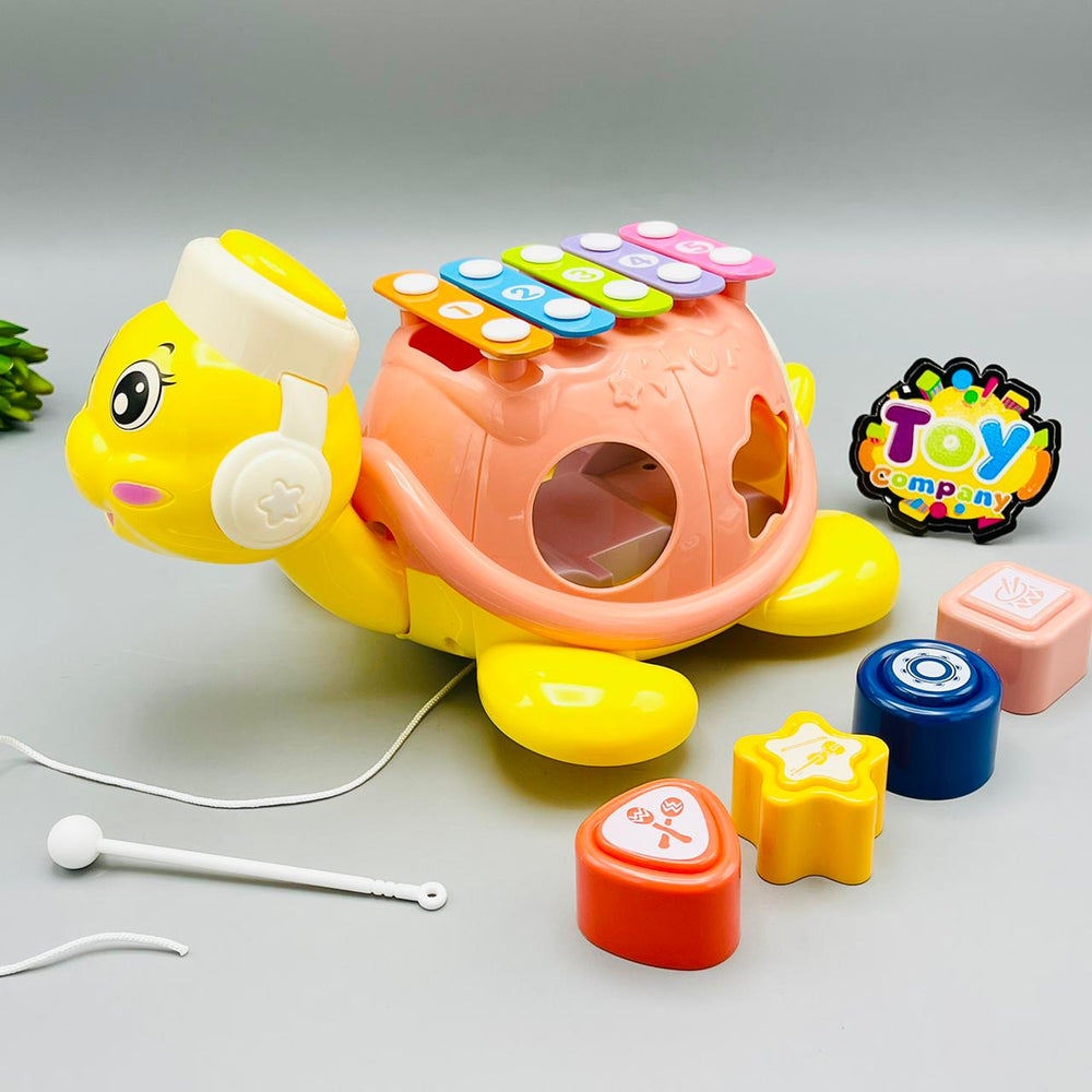 Tortoise Educational Musical Xylophone