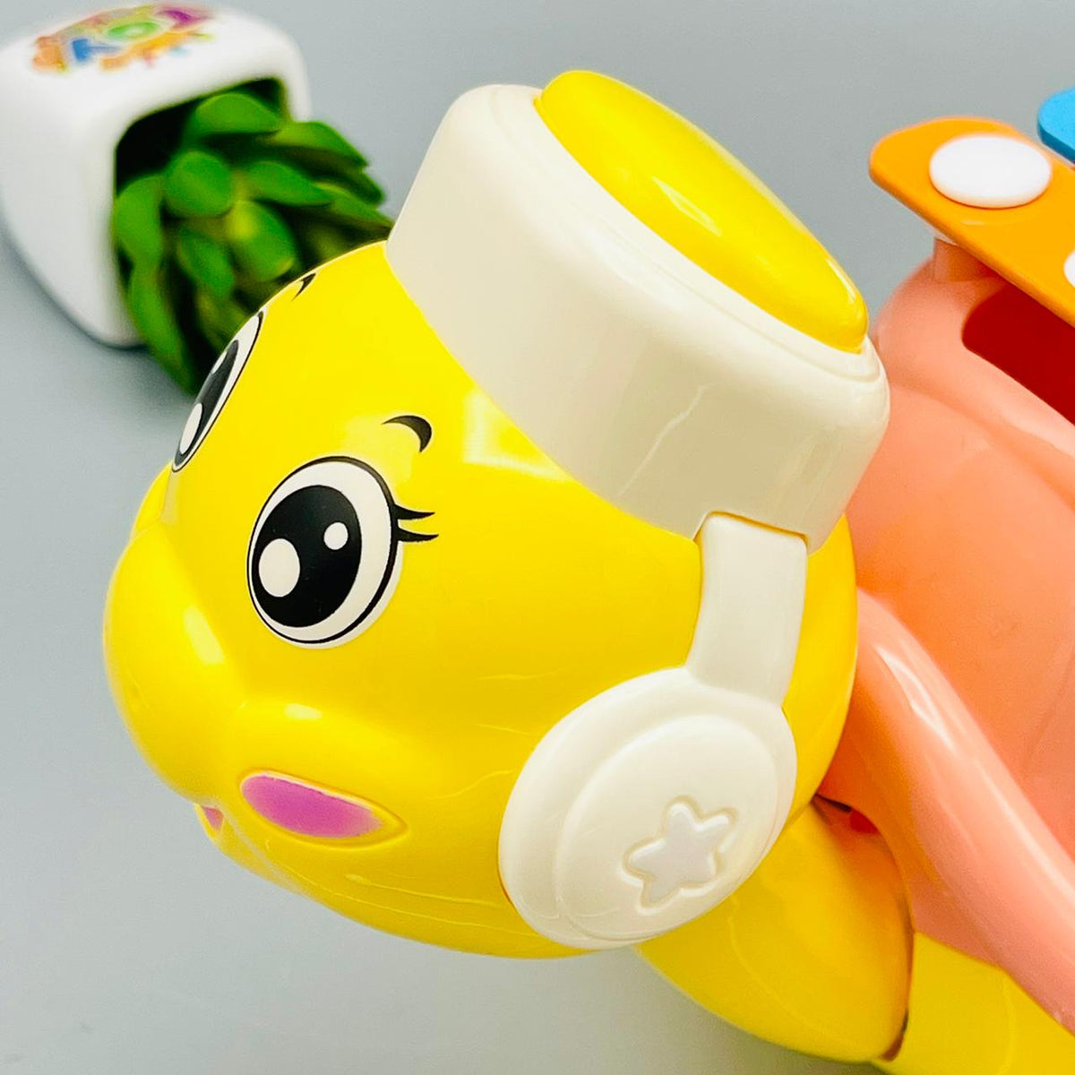 Tortoise Educational Musical Xylophone
