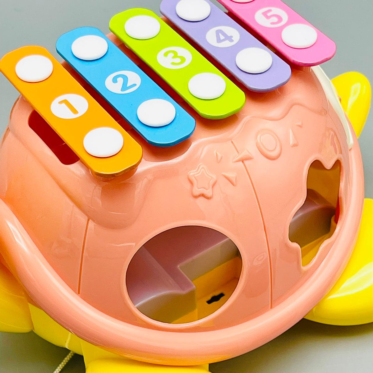 Tortoise Educational Musical Xylophone