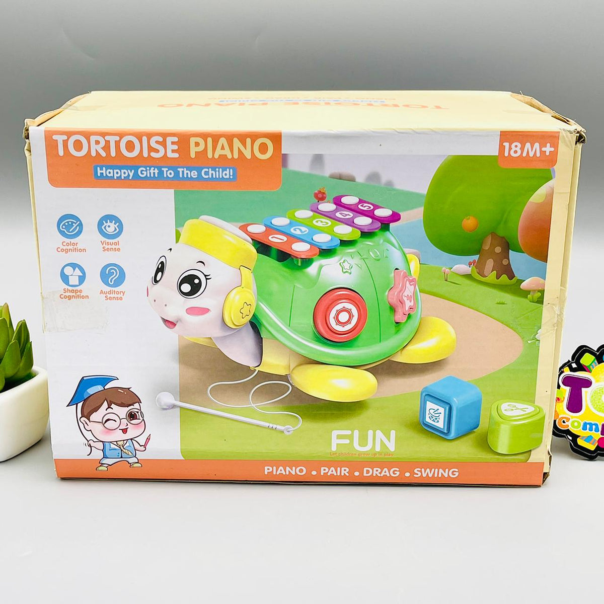 Tortoise Educational Musical Xylophone