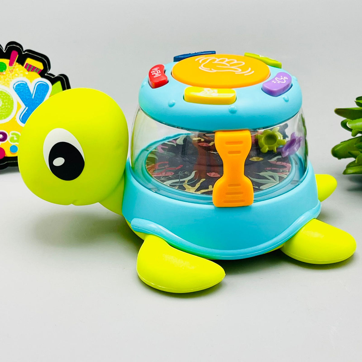 Musical Funny Turtle with Lights and Sound