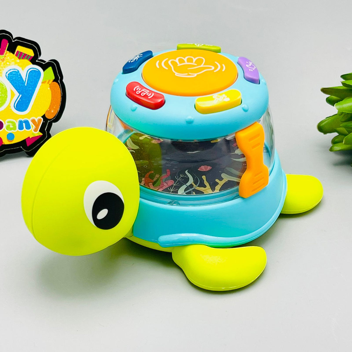 Musical Funny Turtle with Lights and Sound