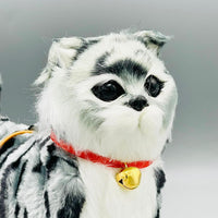 Cute Walking Cat with Remote Control Leash