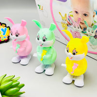 Wind up - Jumping Rabbit Toy