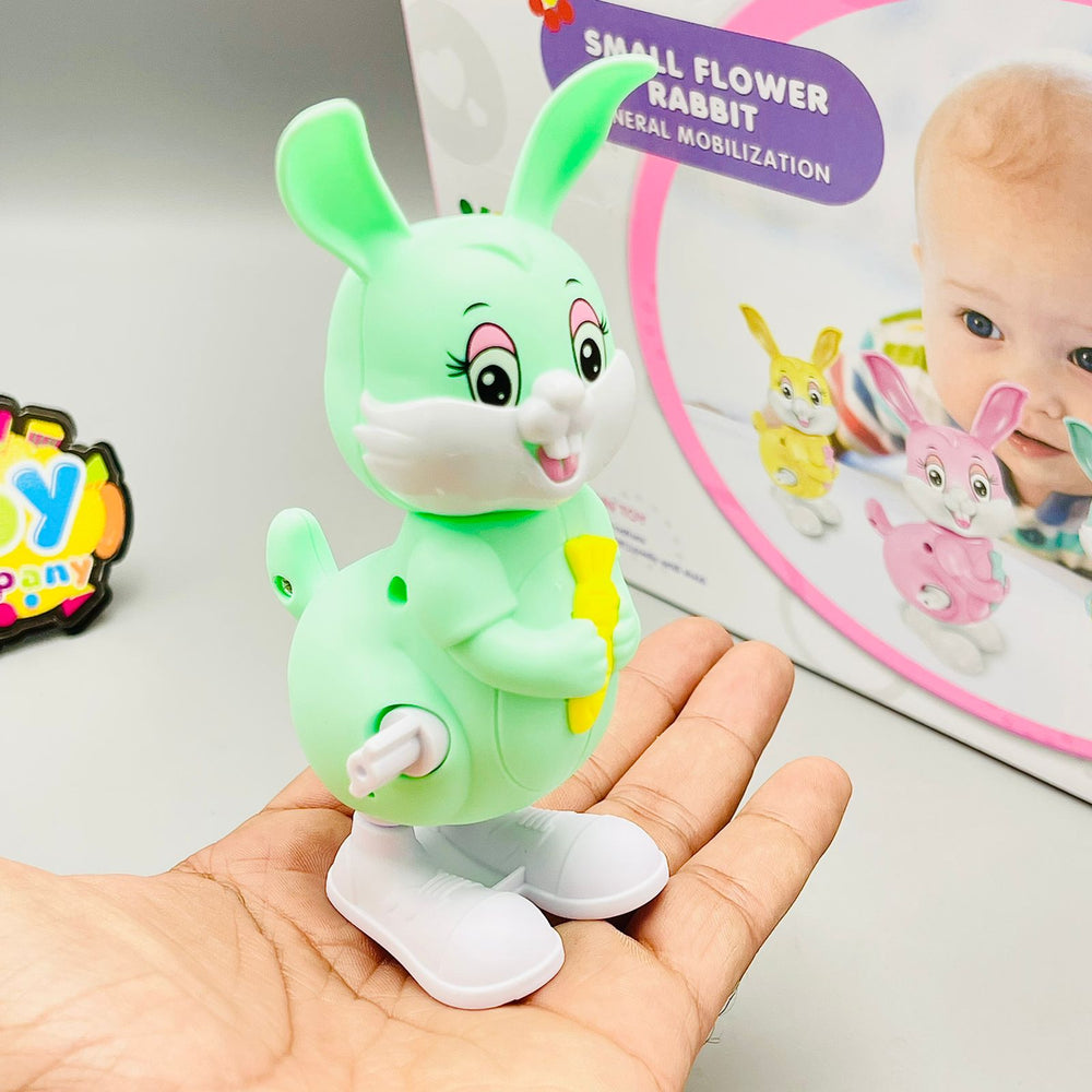 Wind up - Jumping Rabbit Toy