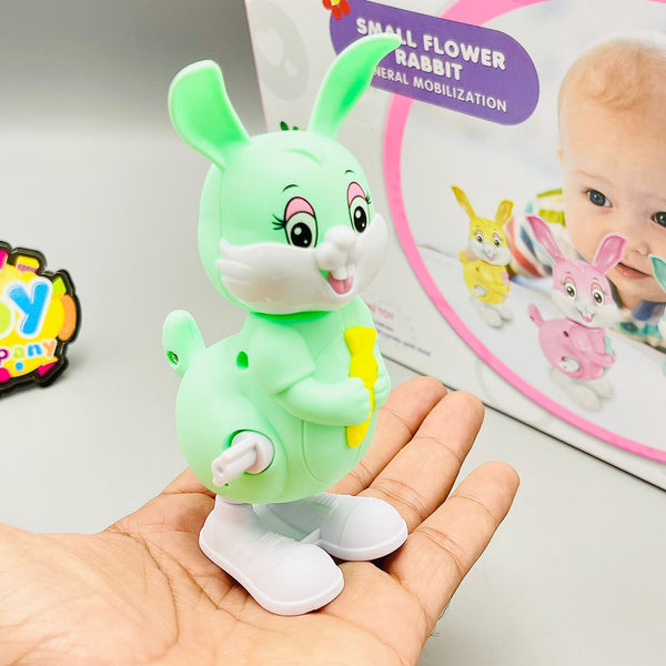 Wind up - Jumping Rabbit Toy