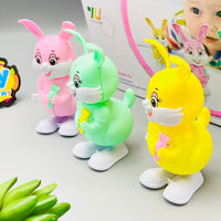 Wind up - Jumping Rabbit Toy