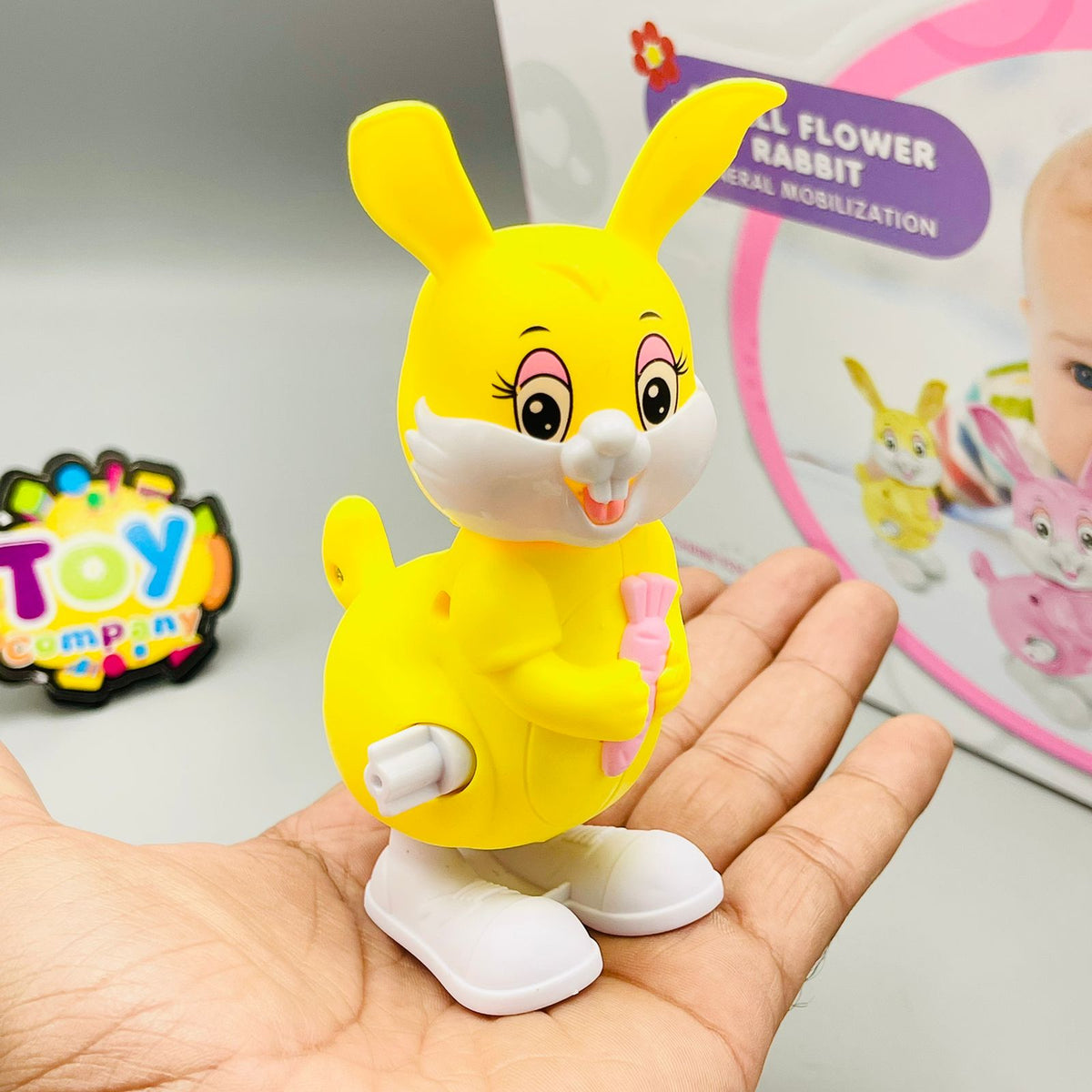 Wind up - Jumping Rabbit Toy