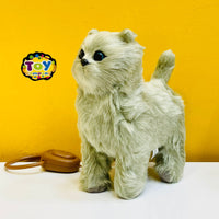Cute Walking Cat with Remote Control Leash