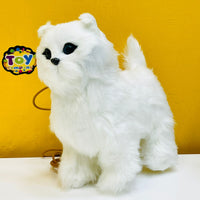 Cute Walking Cat with Remote Control Leash