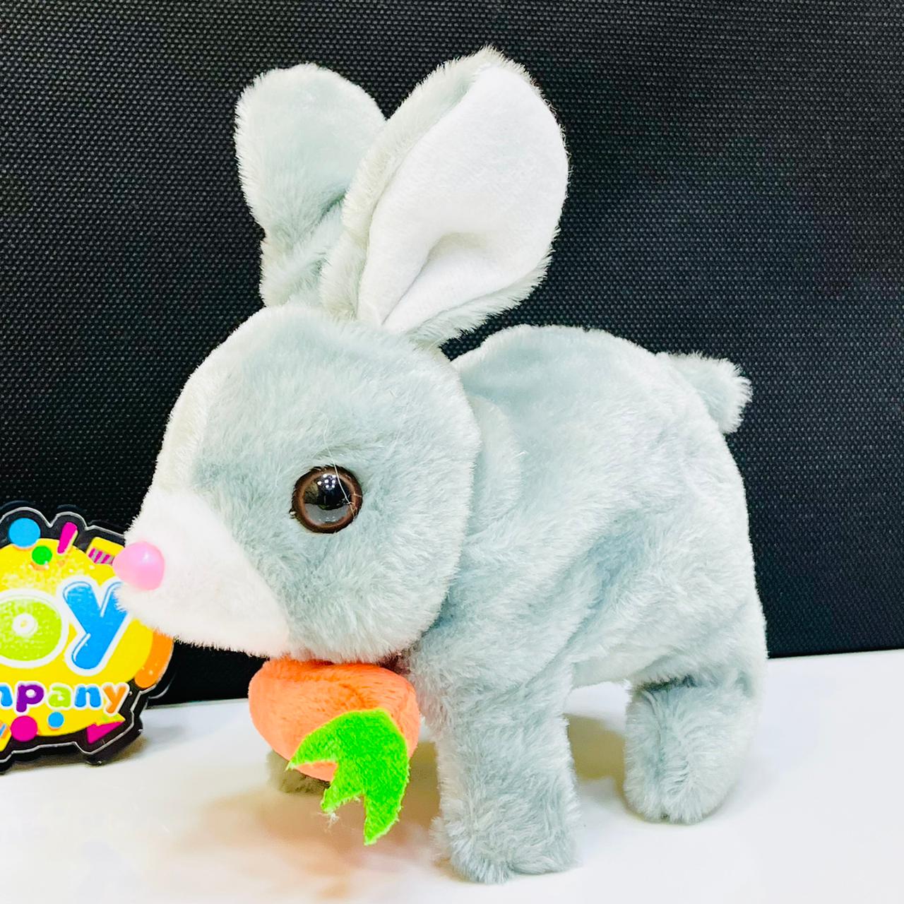 Cute Walking Plush Pet Rabbit with Sound