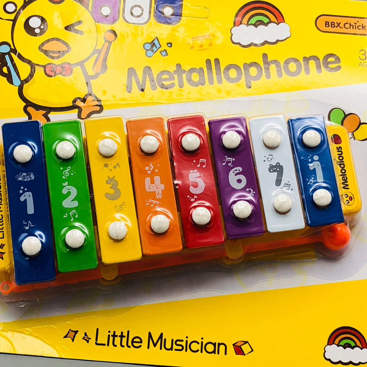 Little Musician Xylophone