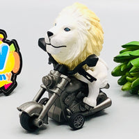 Friction Power Lion Rider-Assortment