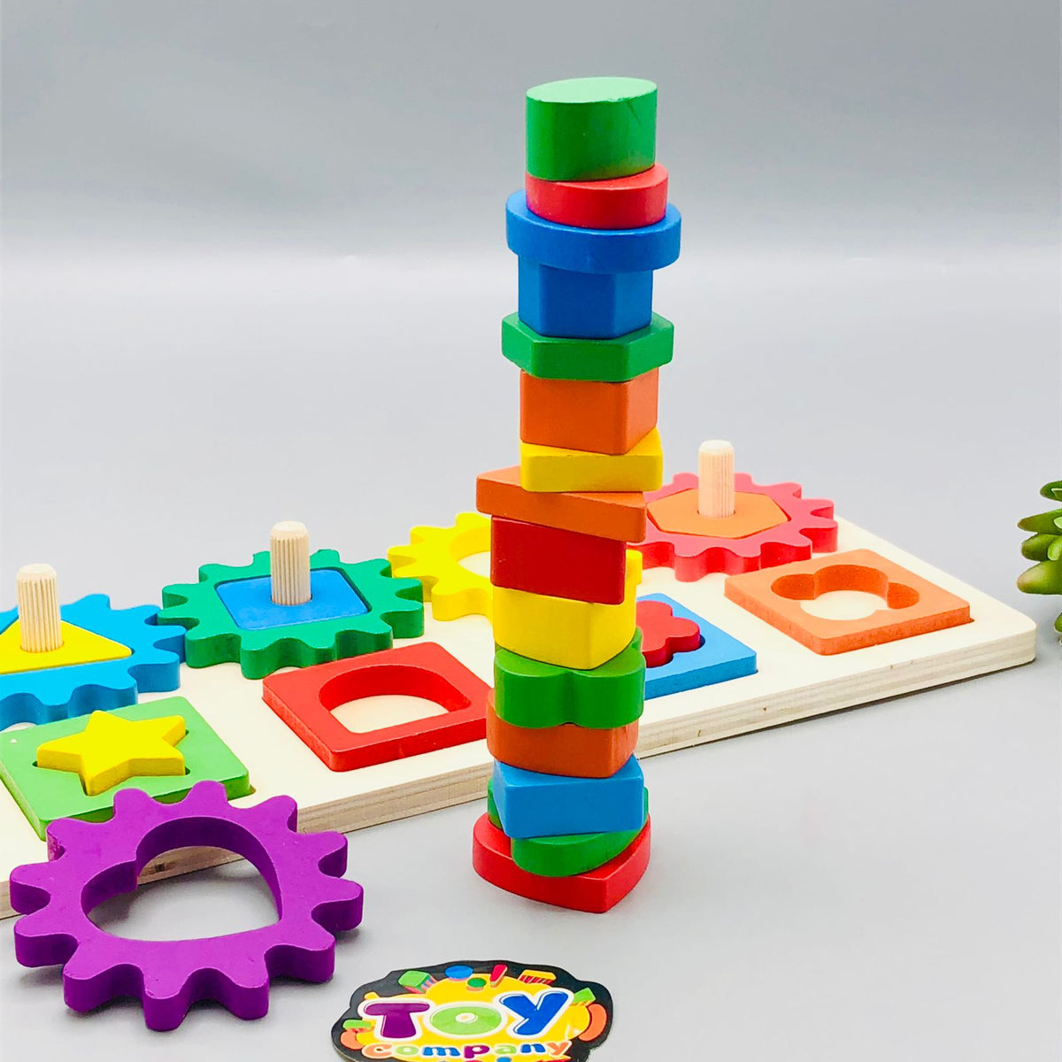 Wooden Montessori Gear Matching Board