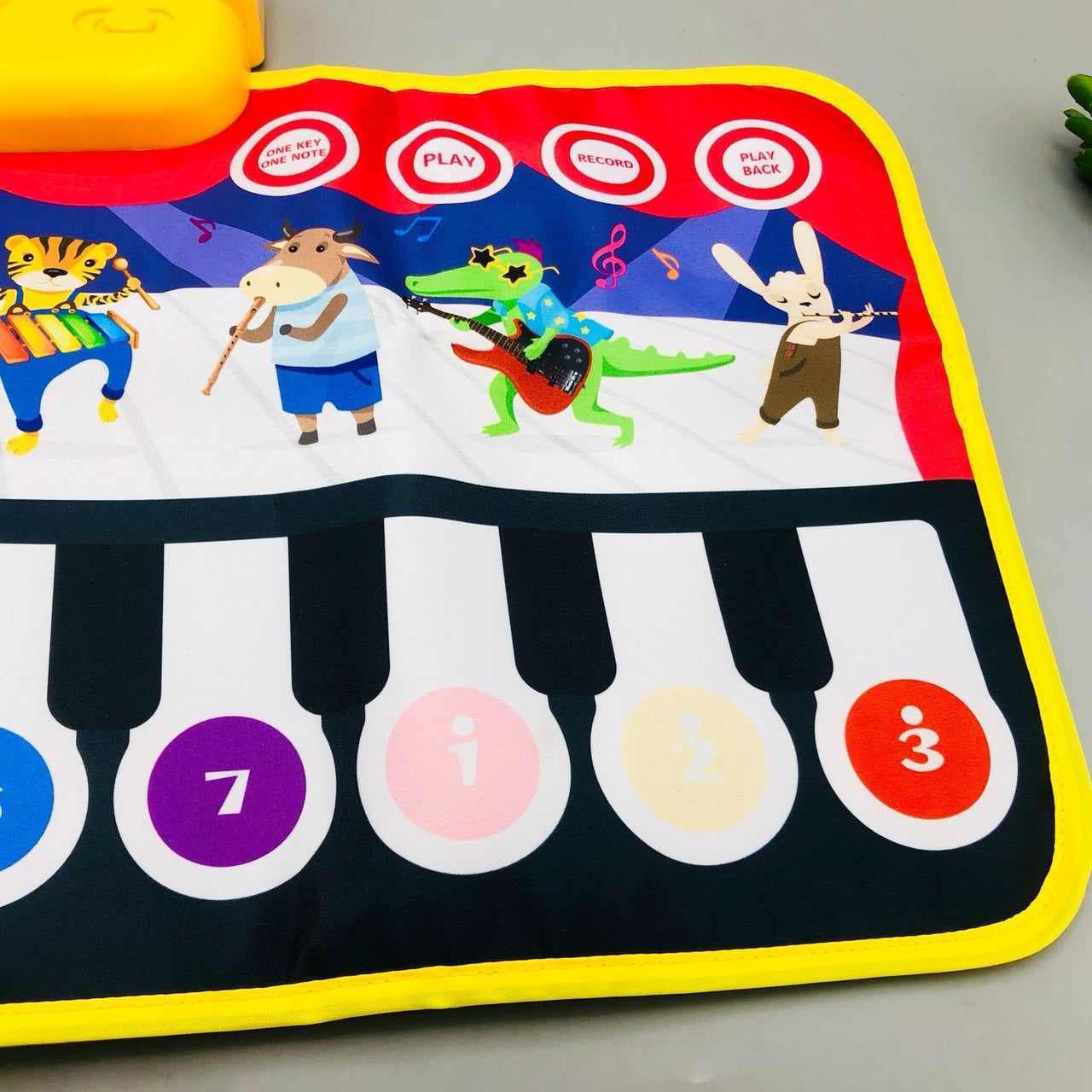 Musical Piano Play-Mate Touch & Learn (60x30cm)