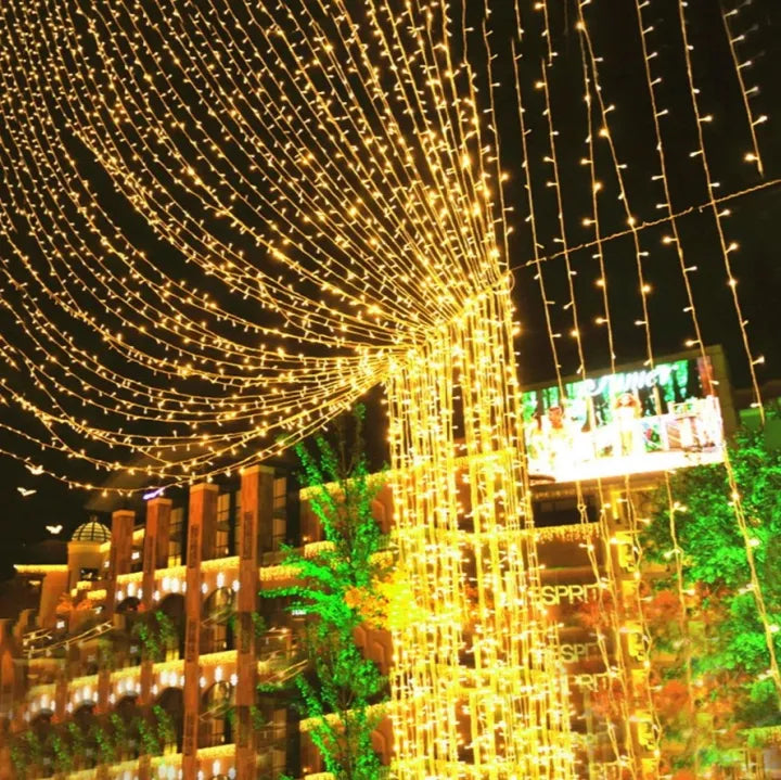 Premium Decor Golden Fairy Lights