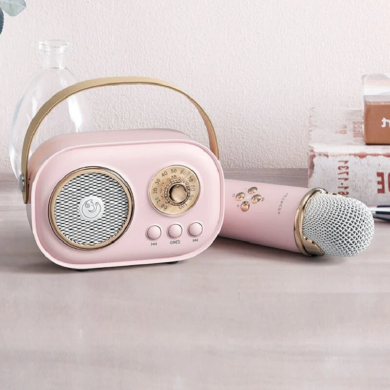 C20 Plus Wireless Karaoke Bluetooth Speaker With Microphone