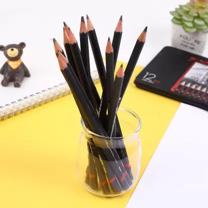 12Pcs Professional Sketching Pencils