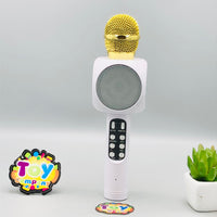 Rechargeable Labubu Handheld Bluetooth Microphone