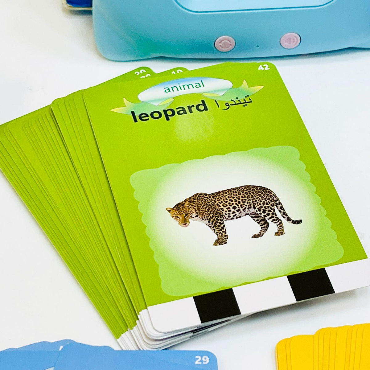 Early Education Card Reading Learning Device