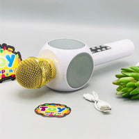 Rechargeable Labubu Handheld Bluetooth Microphone