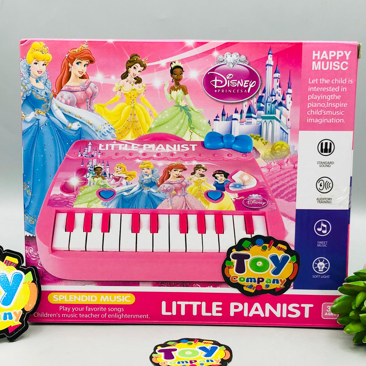 22 Keys Mini Princess Themed Musical Piano