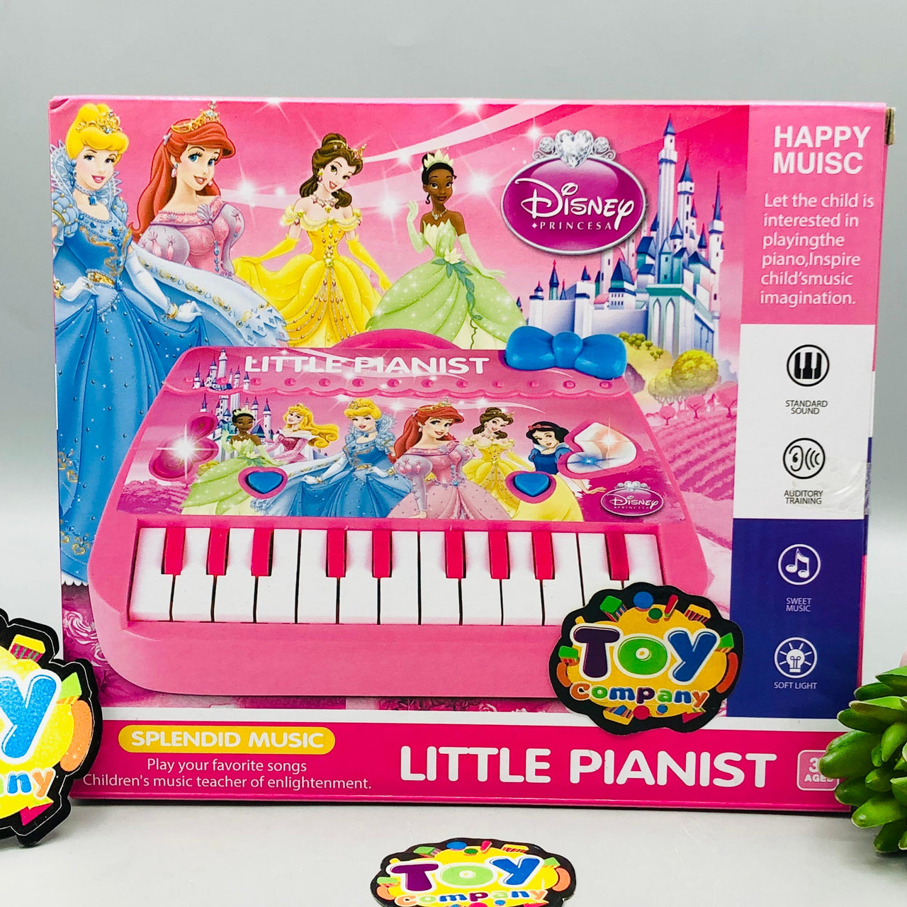 22 Keys Mini Princess Themed Musical Piano