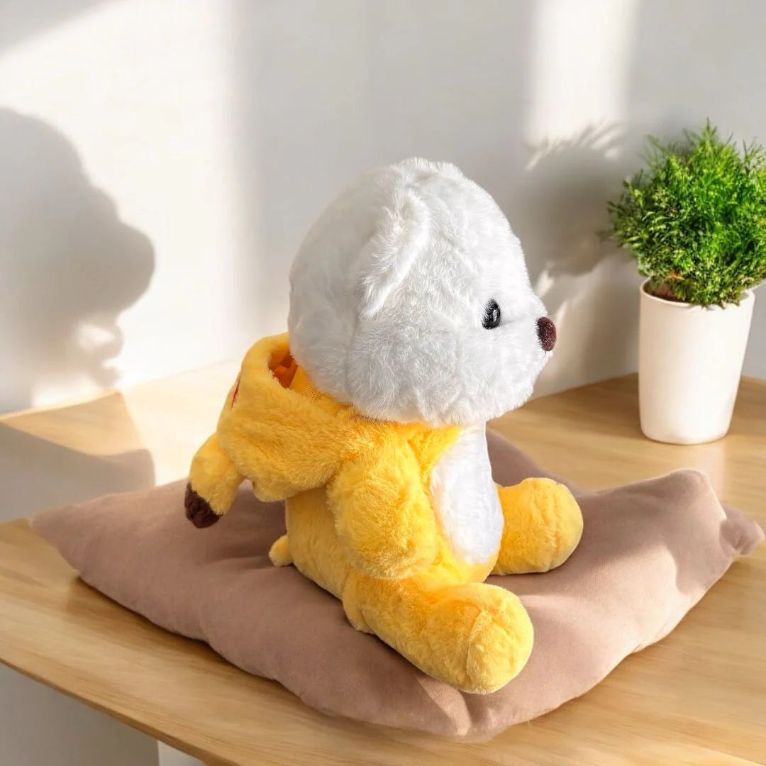 12* Inches Premium 2in1 Hoodie Pikachu Bear Stuff Toy
