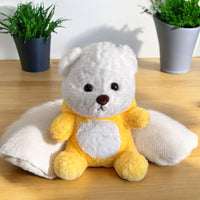 12* Inches Premium 2in1 Hoodie Pikachu Bear Stuff Toy