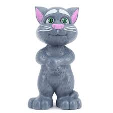 Multi-functional Talking Intelligent Tom