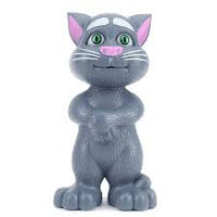 Multi-functional Talking Intelligent Tom
