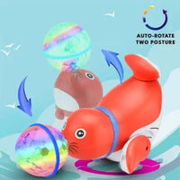 Ball Spinning Stunt Dancing & Musical Seal