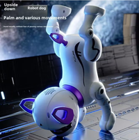 Remote Control Multi-functional Stunt Robot Dog