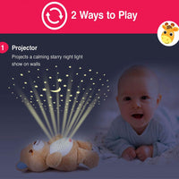 Multi-Effects Musical Star Light Projection Bear