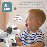 RC Multi-functional Lucky Robot Dog With Smoke