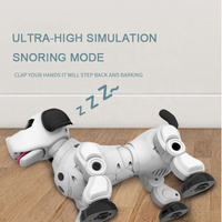 RC Multi-functional Lucky Robot Dog With Smoke