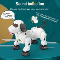 RC Multi-functional Lucky Robot Dog With Smoke